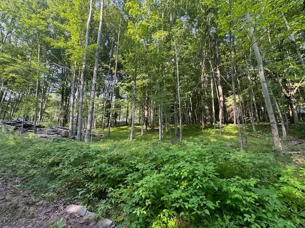 $129,000 | 16.1-16.2 Scutt Mountain Road, Bloomville, NY 13739