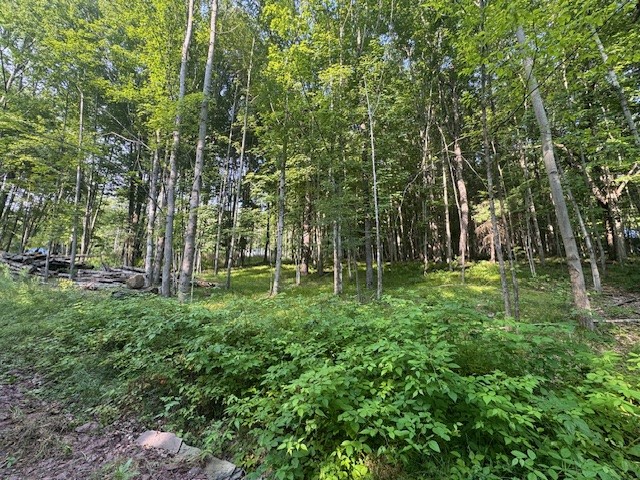 16.1-16.2 Scutt Mountain Road Bloomville, NY 13739 - Photo 25 of 37