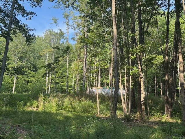 16.1-16.2 Scutt Mountain Road Bloomville, NY 13739 - Photo 26 of 37