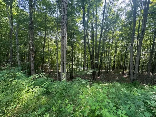 $149,000 | 16.1-16.2 Scutt Mountain Road, Bloomville, NY 13739