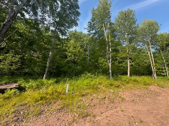 $149,000 | 16.1-16.2 Scutt Mountain Road, Bloomville, NY 13739