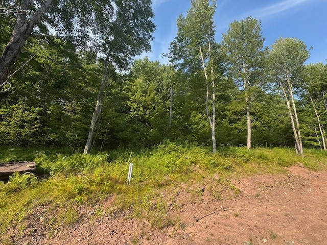 16.1-16.2 Scutt Mountain Road Bloomville, NY 13739 - Photo 28 of 37