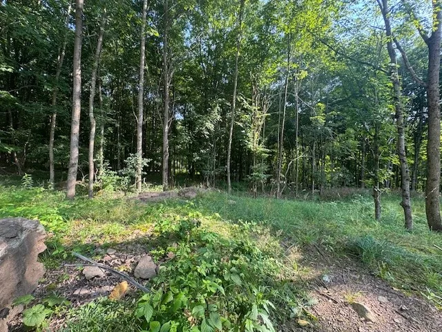 $149,000 | 16.1-16.2 Scutt Mountain Road, Bloomville, NY 13739