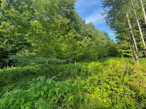 $129,000 | 16.1-16.2 Scutt Mountain Road, Bloomville, NY 13739