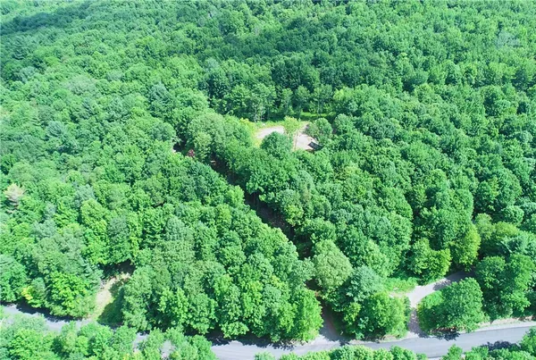 $129,000 | 16.1-16.2 Scutt Mountain Road, Bloomville, NY 13739