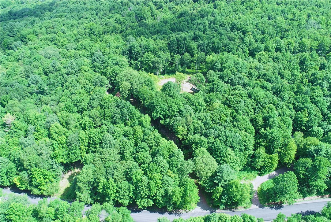 16.1-16.2 Scutt Mountain Road Bloomville, NY 13739 - Photo 3 of 37