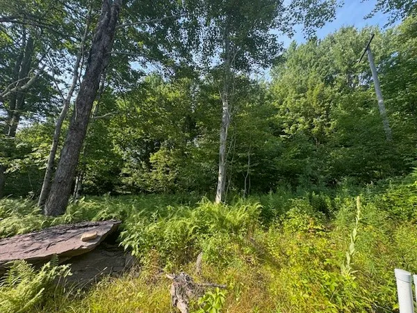 $129,000 | 16.1-16.2 Scutt Mountain Road, Bloomville, NY 13739