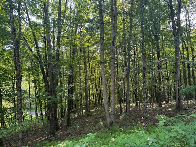 16.1-16.2 Scutt Mountain Road Bloomville, NY 13739 - Photo 32 of 37