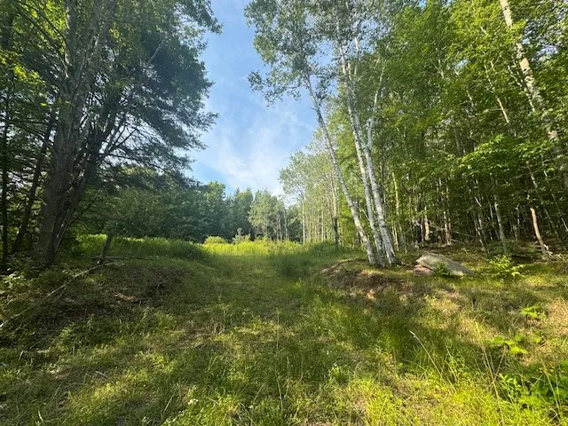 $149,000 | 16.1-16.2 Scutt Mountain Road, Bloomville, NY 13739