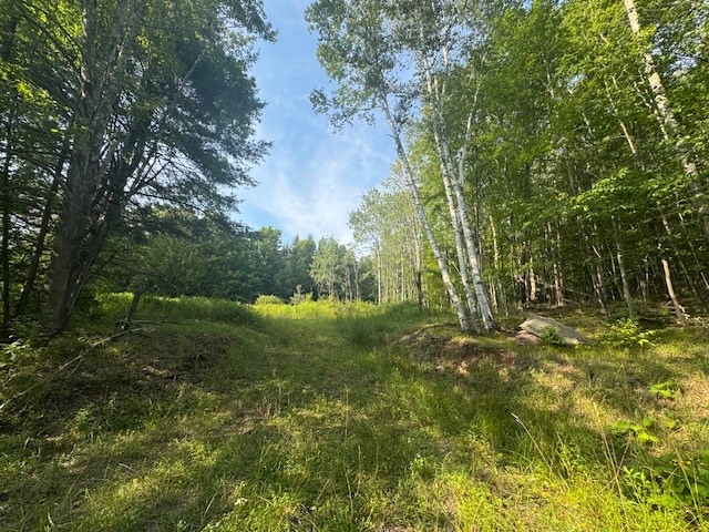 16.1-16.2 Scutt Mountain Road Bloomville, NY 13739 - Photo 33 of 37