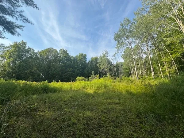 $129,000 | 16.1-16.2 Scutt Mountain Road, Bloomville, NY 13739