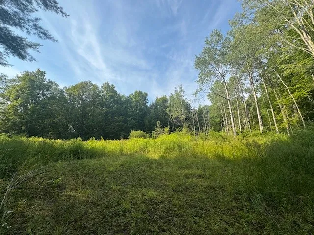 $149,000 | 16.1-16.2 Scutt Mountain Road, Bloomville, NY 13739