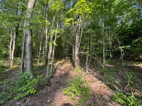 $129,000 | 16.1-16.2 Scutt Mountain Road, Bloomville, NY 13739