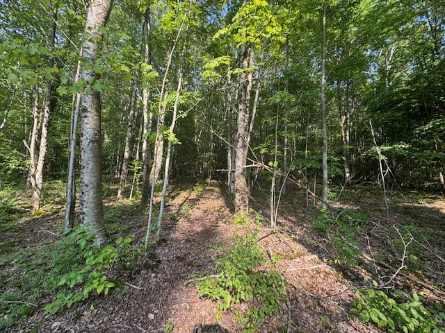 16.1-16.2 Scutt Mountain Road Bloomville, NY 13739 - Photo 35 of 37