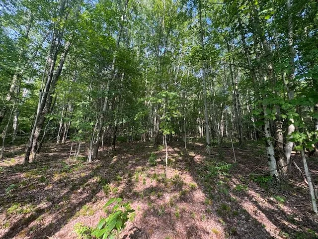 $149,000 | 16.1-16.2 Scutt Mountain Road, Bloomville, NY 13739