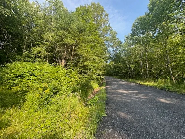 $149,000 | 16.1-16.2 Scutt Mountain Road, Bloomville, NY 13739