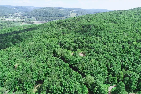 $129,000 | 16.1-16.2 Scutt Mountain Road, Bloomville, NY 13739