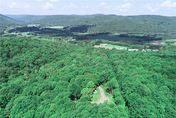 $129,000 | 16.1-16.2 Scutt Mountain Road, Bloomville, NY 13739