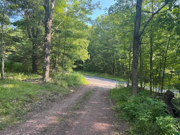 $129,000 | 16.1-16.2 Scutt Mountain Road, Bloomville, NY 13739