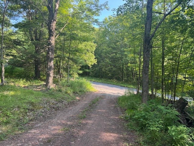 16.1-16.2 Scutt Mountain Road Bloomville, NY 13739 - Photo 7 of 37