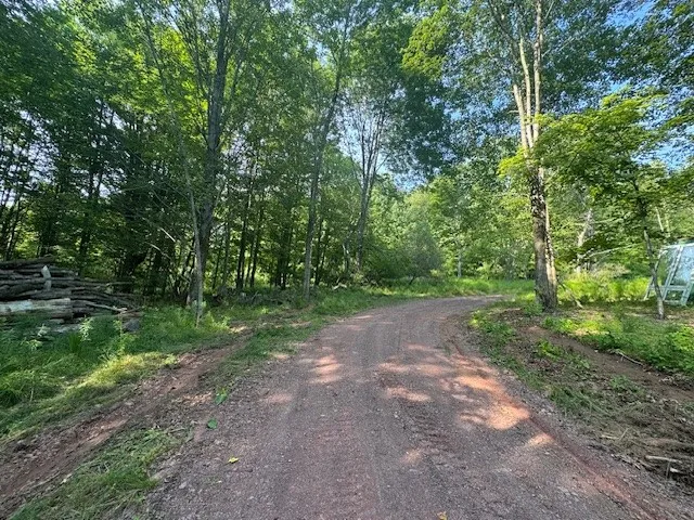 $149,000 | 16.1-16.2 Scutt Mountain Road, Bloomville, NY 13739