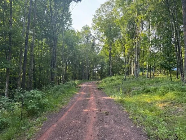 $129,000 | 16.1-16.2 Scutt Mountain Road, Bloomville, NY 13739