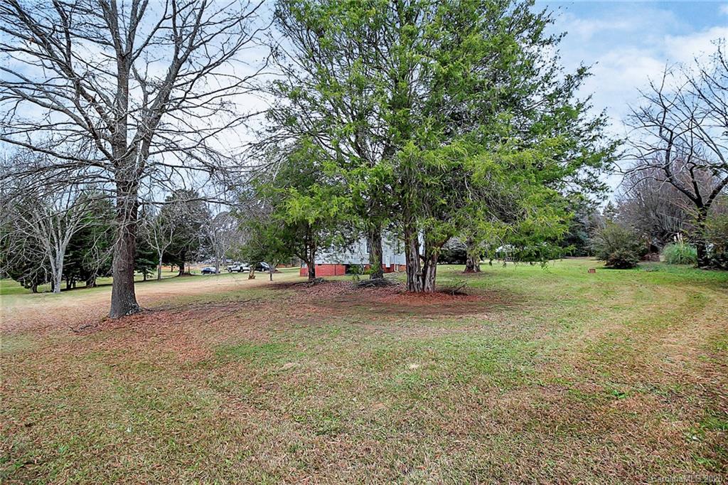 561 South Potter Road Lancaster, SC 29720 - Photo 29 of 33 a view of a tree with a yard