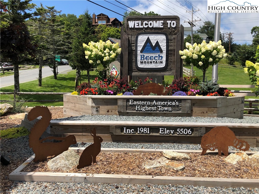 301 Pinnacle Inn Road, Unit 3230 Beech Mountain, NC 28604 - Photo 32 of 40
