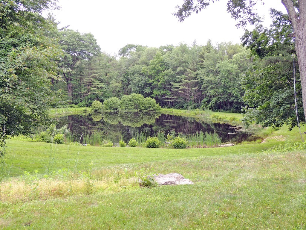 61 Judy Farm Road Carlisle, MA 01741 - Photo 21 of 24 a view of a grassy field with trees