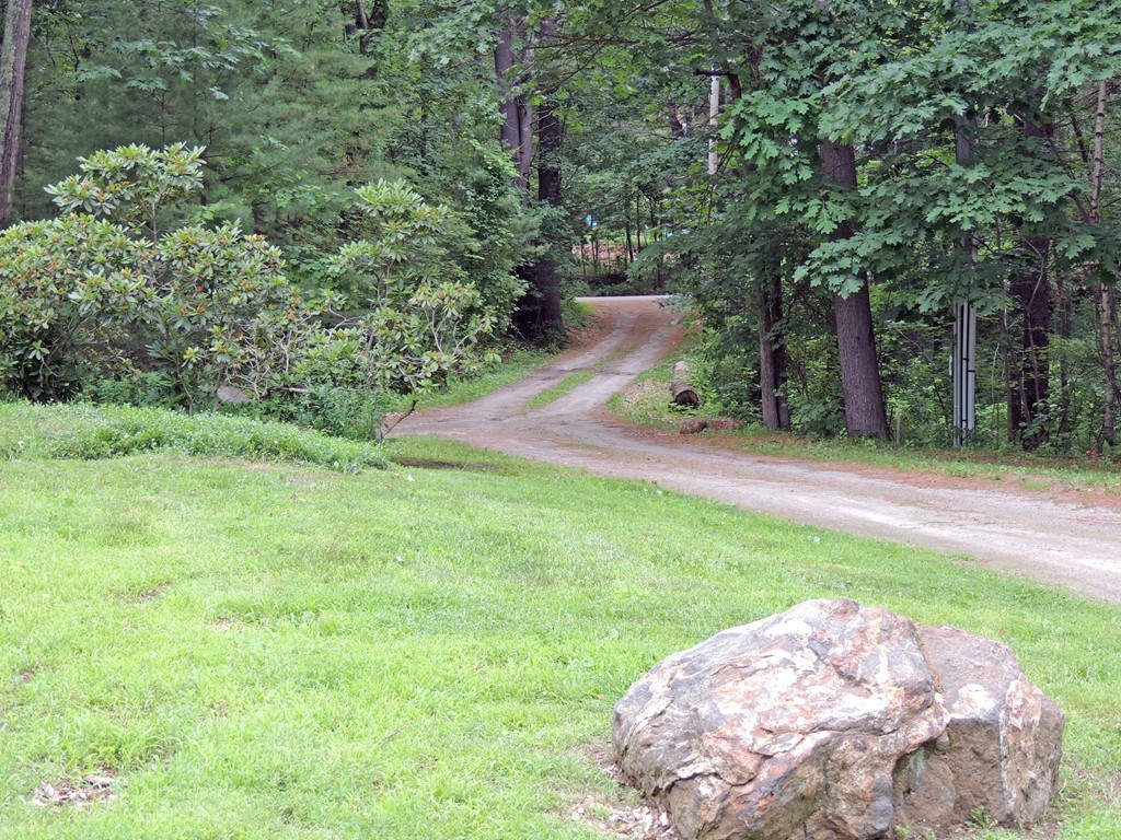 61 Judy Farm Road Carlisle, MA 01741 - Photo 23 of 24 a view of a backyard with a fountain and large trees