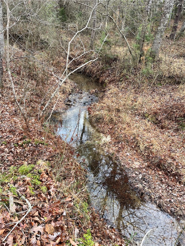 665 Oconee Creek Road Walhalla, SC 29691 - Photo 18 of 49