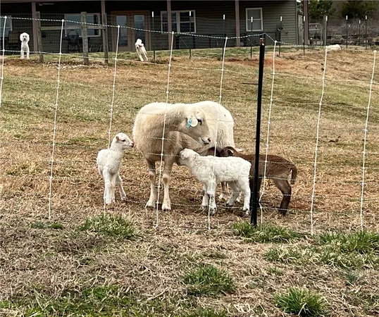 $1,900,000 | 665 Oconee Creek Road, Walhalla, SC 29691