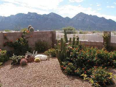 513 West Wheeler Road Tucson, AZ 85737 - Photo 5 of 5 Gallery Image 5
