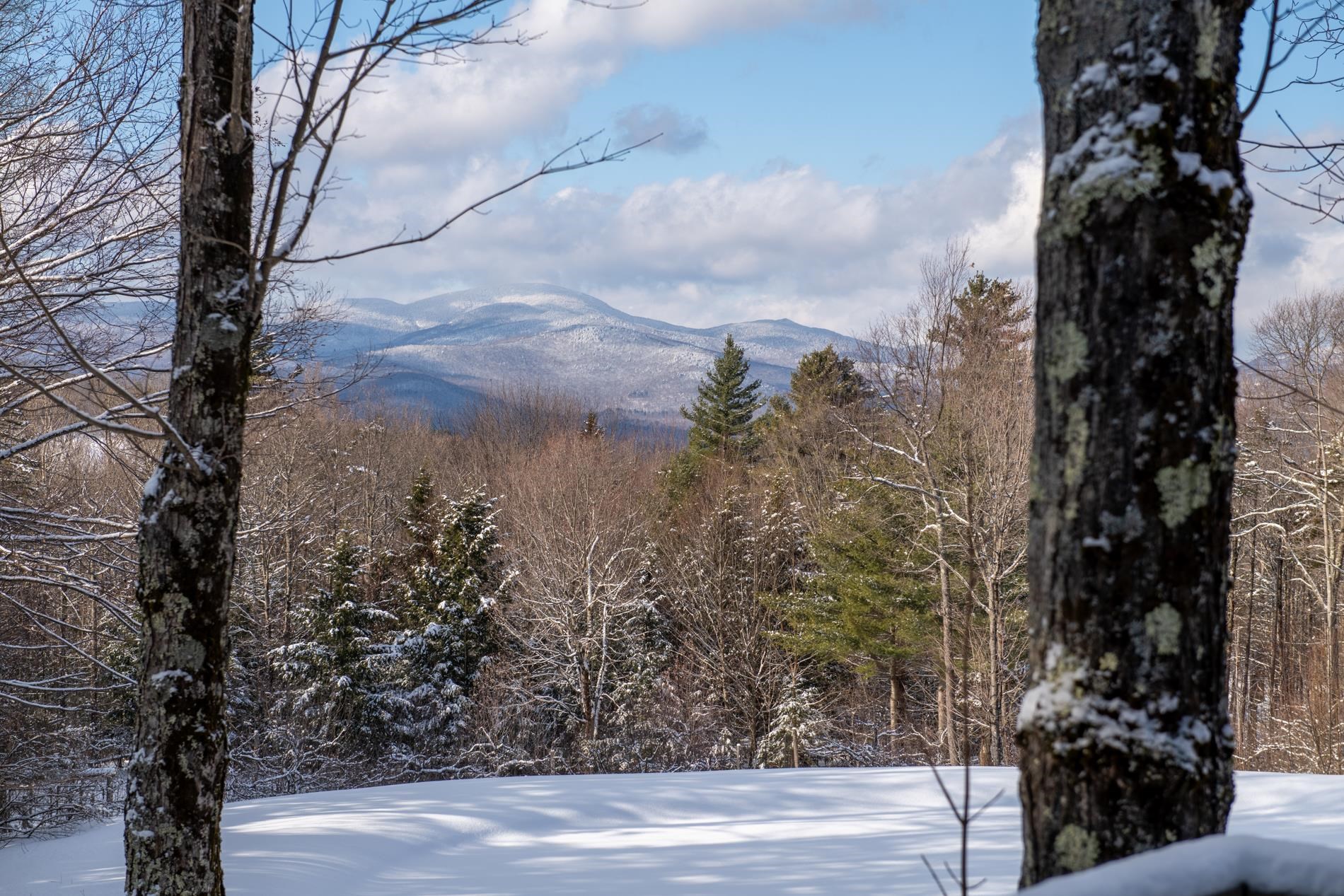318 Upper Hollow Hill Road Stowe, VT 05672 - Photo 9 of 42