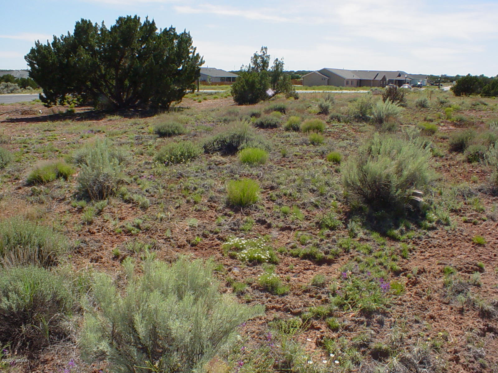 2178 West Cliff Rose Road Snowflake, AZ 85937 - Photo 3 of 10