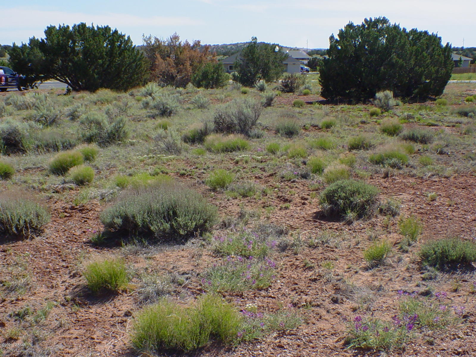 2178 West Cliff Rose Road Snowflake, AZ 85937 - Photo 5 of 10