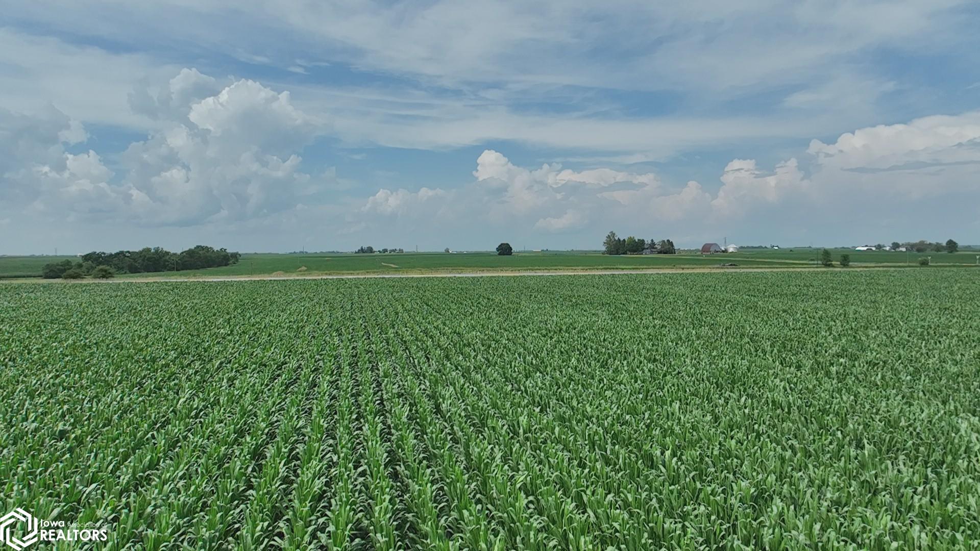 County Line Road Ainsworth, IA 52201 - Photo 32 of 35 Gallery Image 32