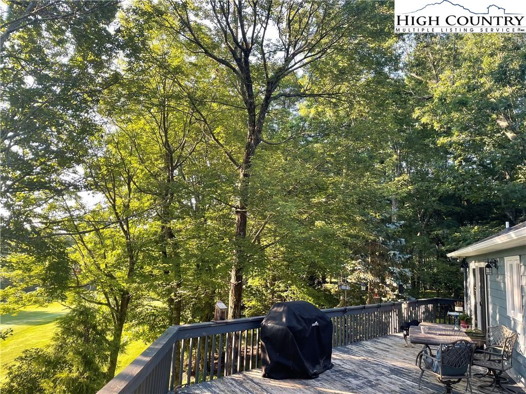 824 Ridge Road Glade Valley, NC 28627 - Photo 3 of 22 Gallery Image 3