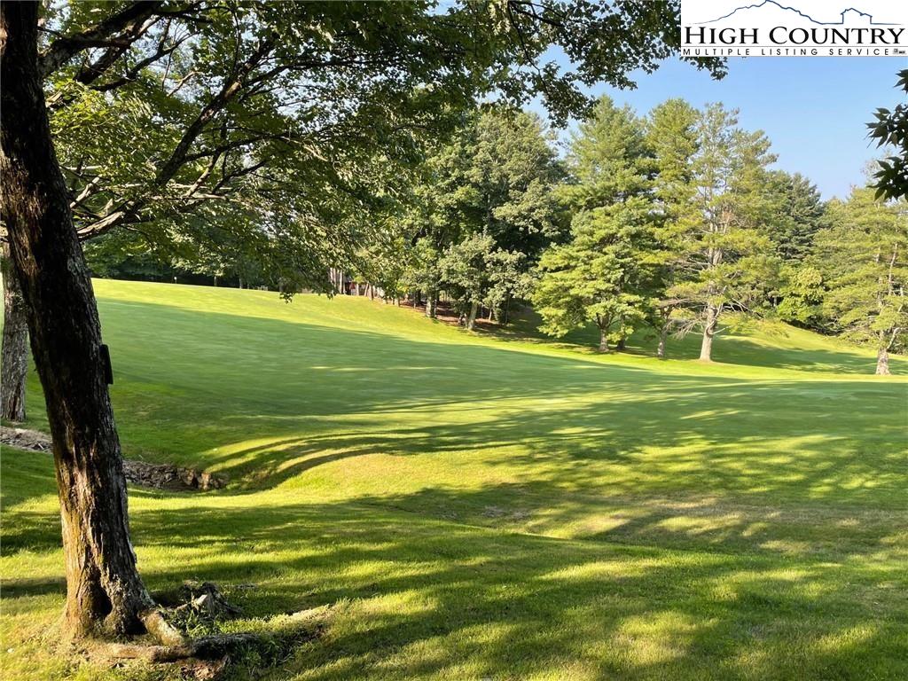 824 Ridge Road Glade Valley, NC 28627 - Photo 4 of 22 Gallery Image 4