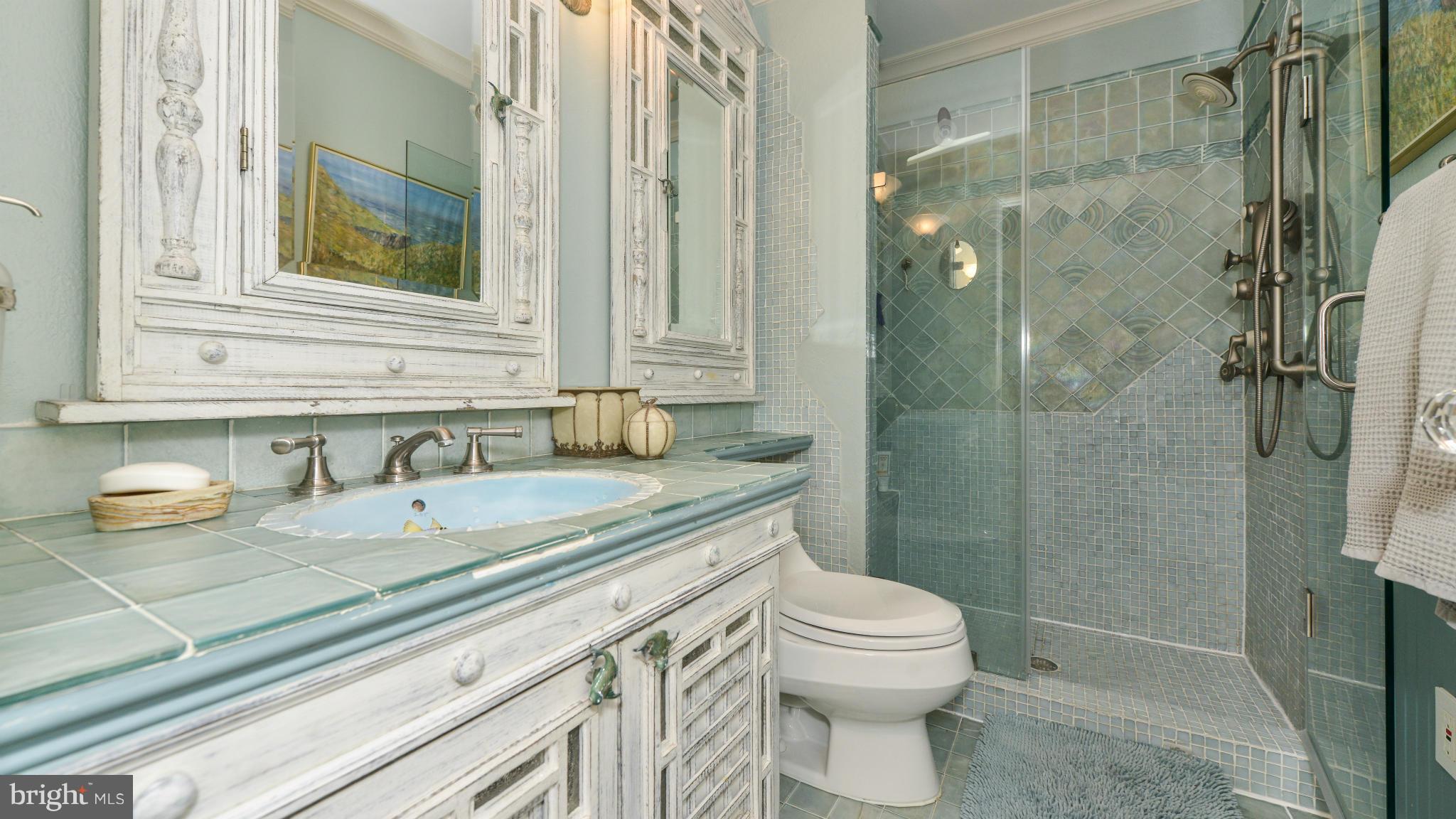 2013 Turtle Pond Drive Reston, VA 20191 - Photo 15 of 30 Second Bath