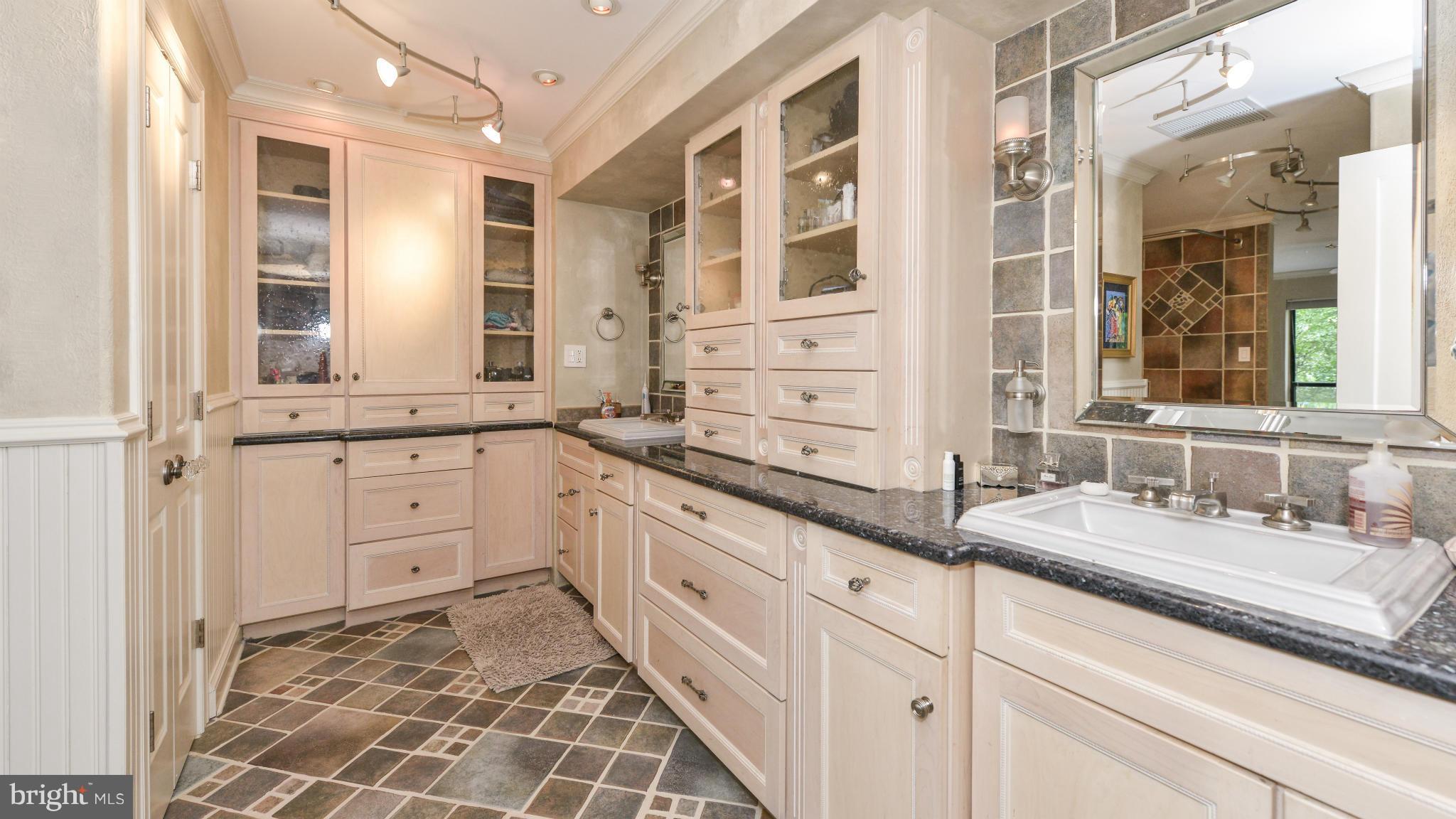 2013 Turtle Pond Drive Reston, VA 20191 - Photo 22 of 30 Bath (Master)