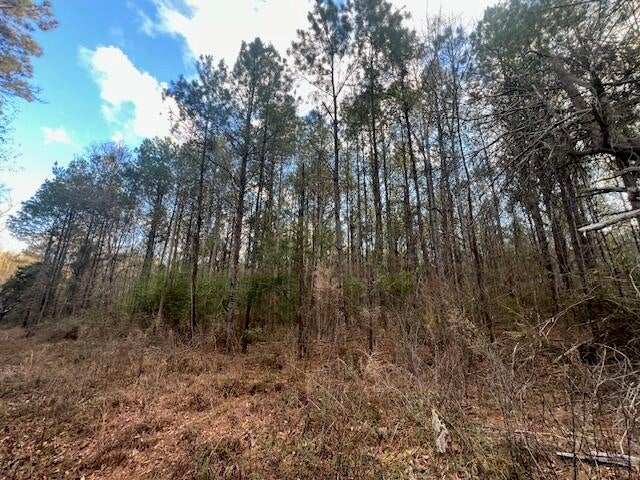 Nichols Road Leesville, LA 71446 - Photo 5 of 8 Gallery Image 5