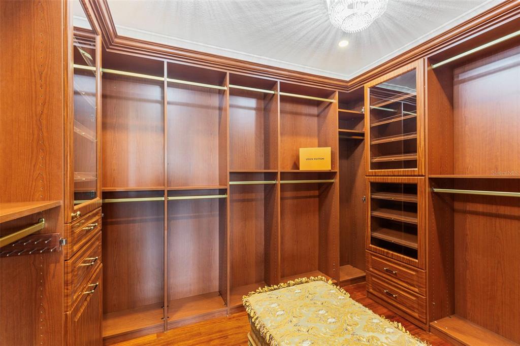 2115 Alexis Court Tarpon Springs, FL 34689 - Photo 46 of 100 a view of walk in closet with empty racks