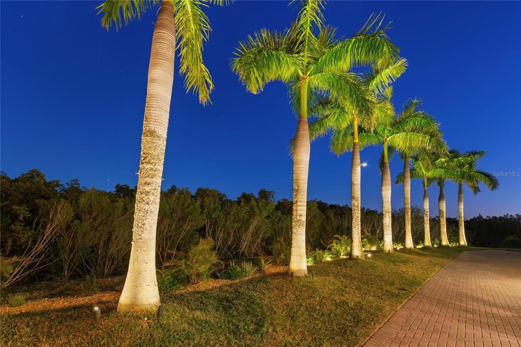 2115 Alexis Court Tarpon Springs, FL 34689 - Photo 64 of 100