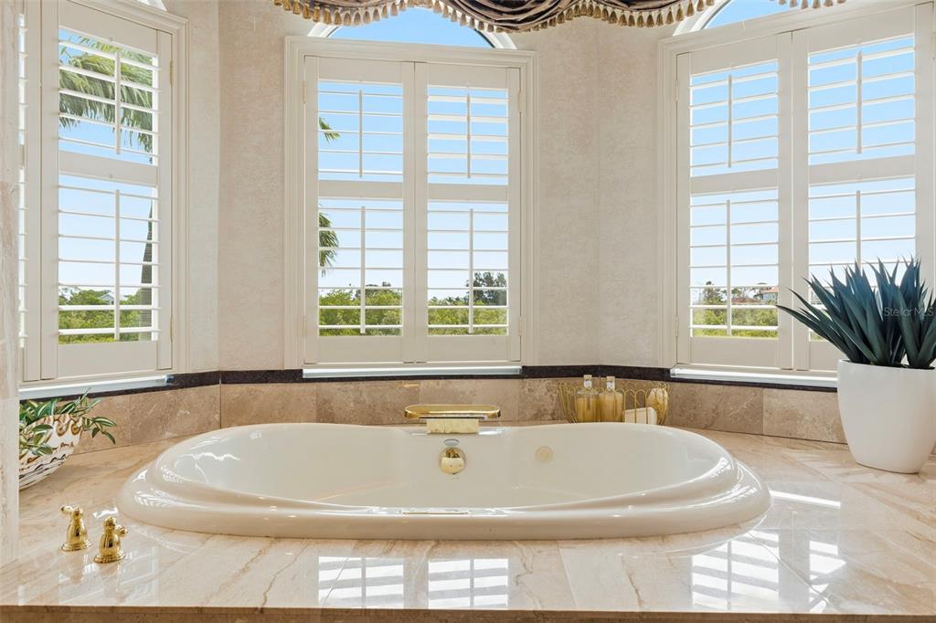 2115 Alexis Court Tarpon Springs, FL 34689 - Photo 68 of 100