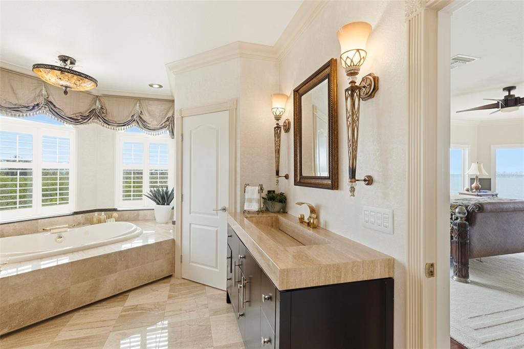 2115 Alexis Court Tarpon Springs, FL 34689 - Photo 74 of 100