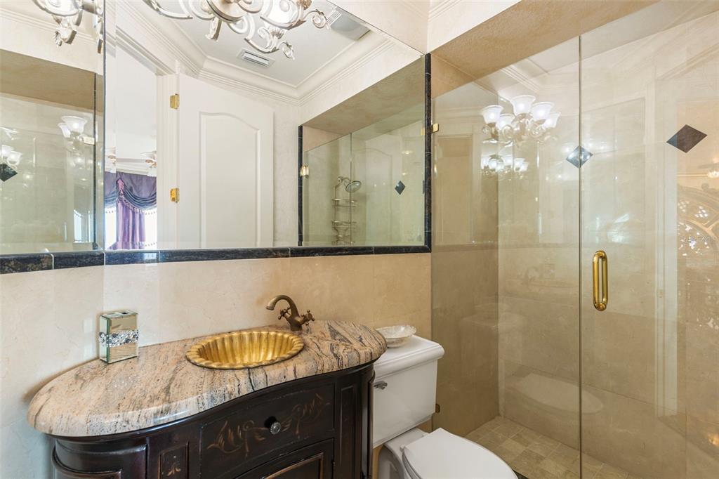 2115 Alexis Court Tarpon Springs, FL 34689 - Photo 78 of 100 a bathroom with a granite countertop sink a toilet a mirror and shower