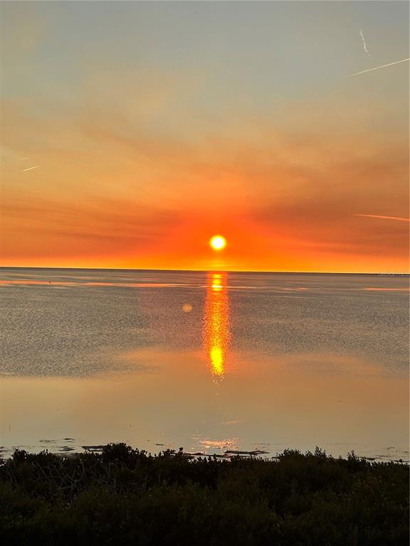 2115 Alexis Court Tarpon Springs, FL 34689 - Photo 87 of 100