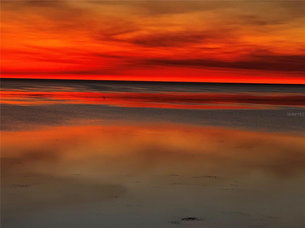 2115 Alexis Court Tarpon Springs, FL 34689 - Photo 91 of 100