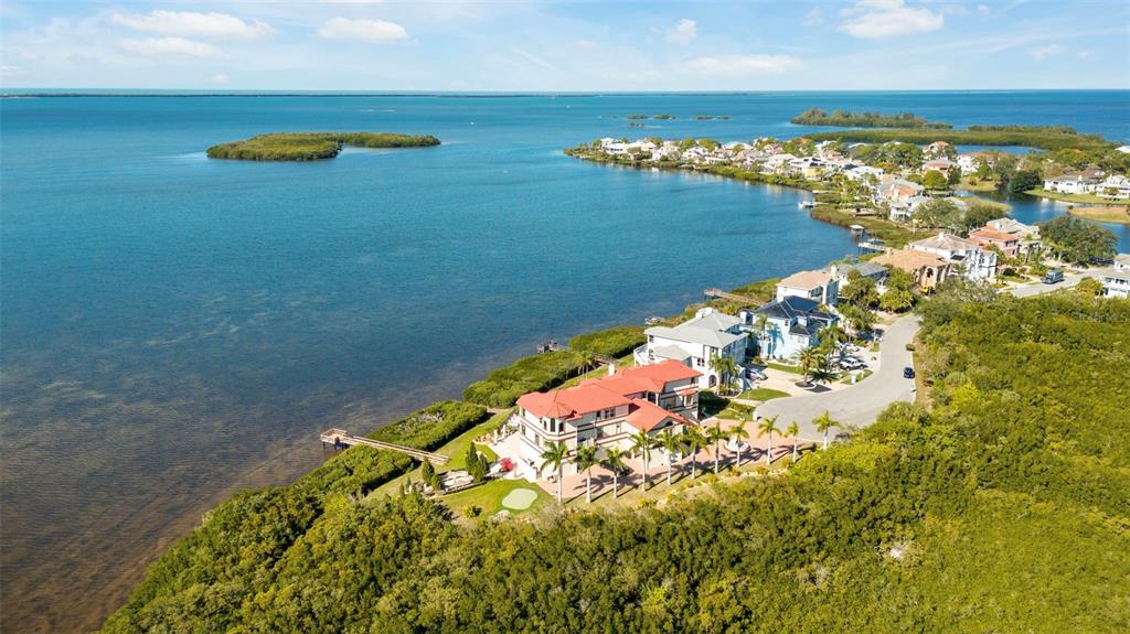 2115 Alexis Court Tarpon Springs, FL 34689 - Photo 93 of 100